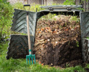 More compost for free