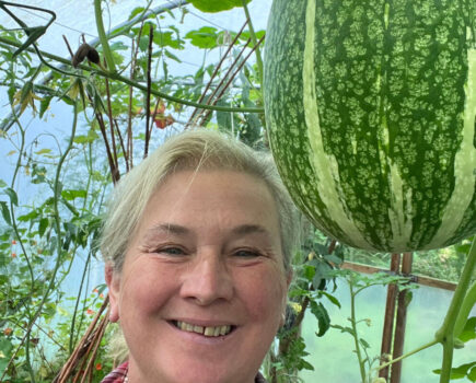 Ventilation, irrigation and growing unusual varieties