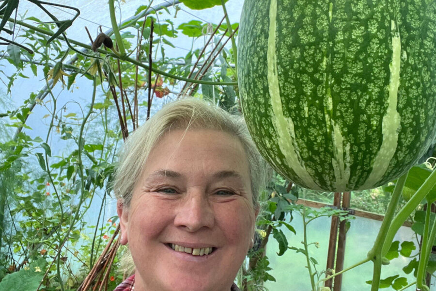 Ventilation, irrigation and growing unusual varieties