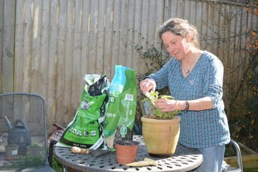 Pinching out and potting up