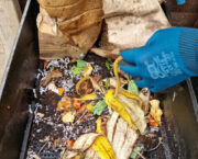 How to make your own wormery