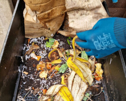 How to make your own wormery