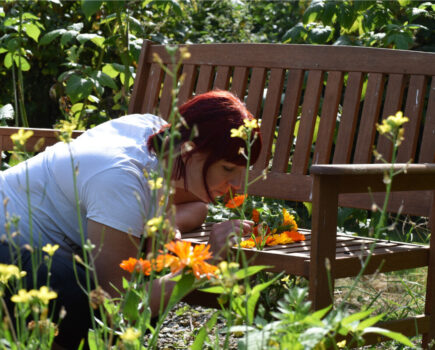 Five ways to protect plants and gardens in June