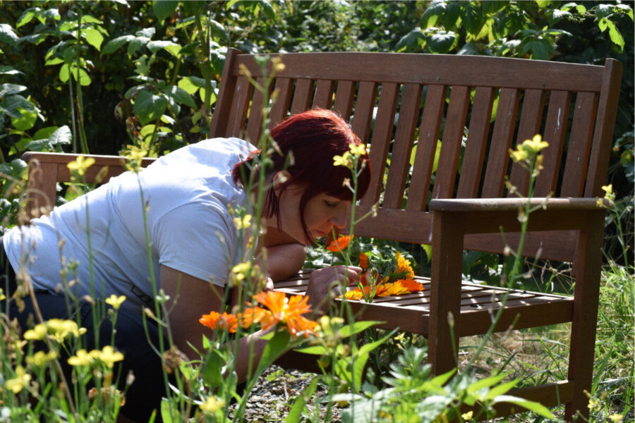 Five ways to protect plants and gardens in June