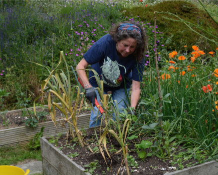Keeping on top of fungal diseases