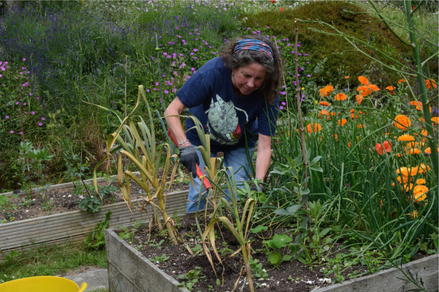 Keeping on top of fungal diseases