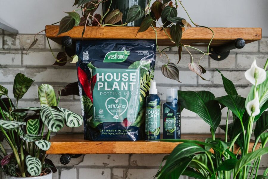 Win A Westland Houseplant Care Package To Help Your Indoor Jungle Thrive