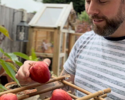 How to make a quick harvest basket