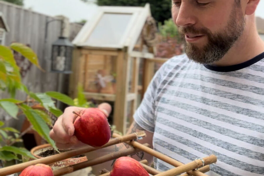 How to make a quick harvest basket