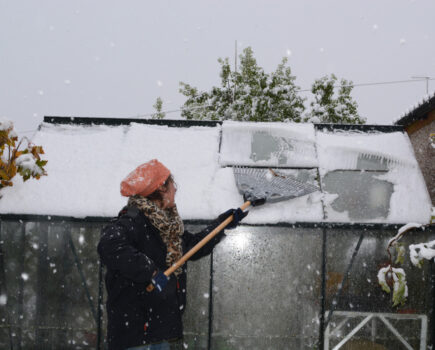 How to help a snowy garden