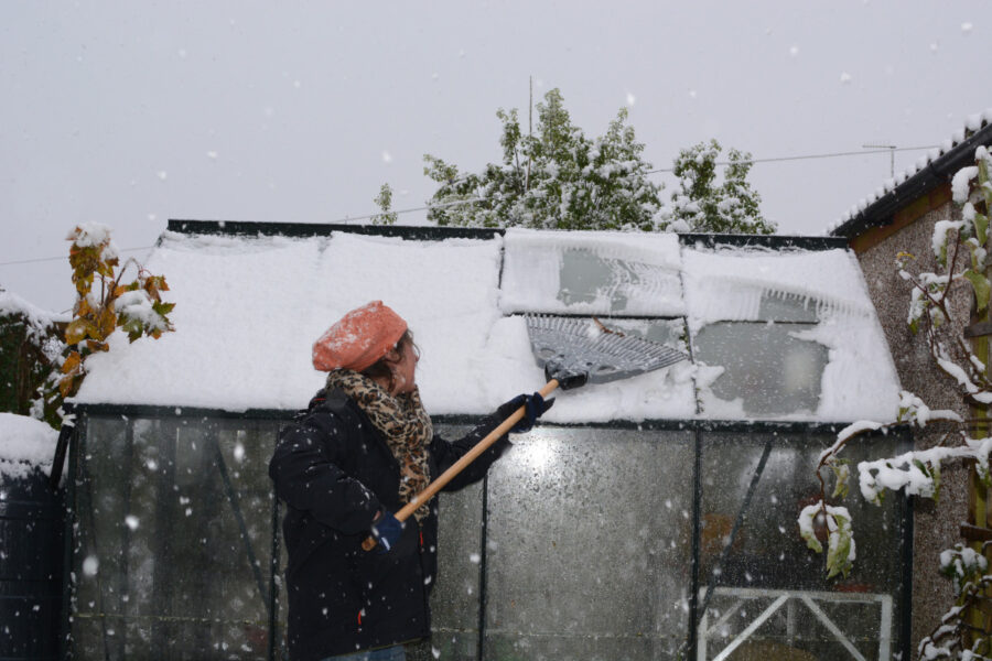 How to help a snowy garden