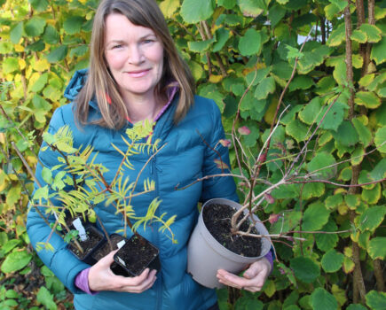 Forest gardening, soil testing and luscious luffa