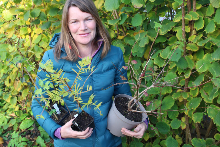 Forest gardening, soil testing and luscious luffa