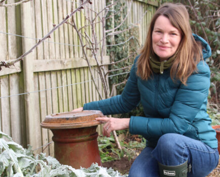 How to have earlier perennial crops, why not try vegetable mallow, and broad bean and garlic growing tips