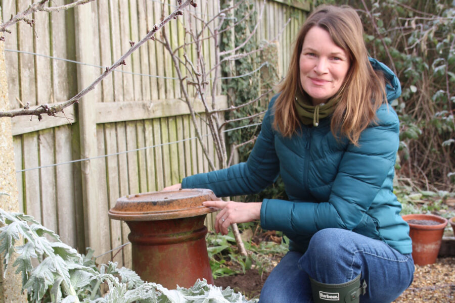 How to have earlier perennial crops, why not try vegetable mallow, and broad bean and garlic growing tips