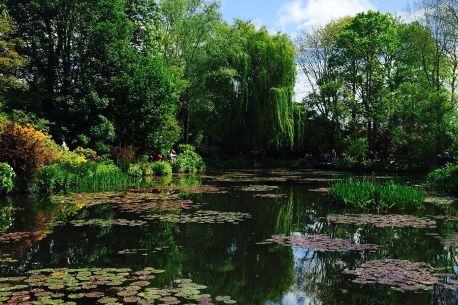 How to create a wonderful water feature
