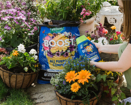 Win a Westland Summer Gardening Bundle Worth Over £100!