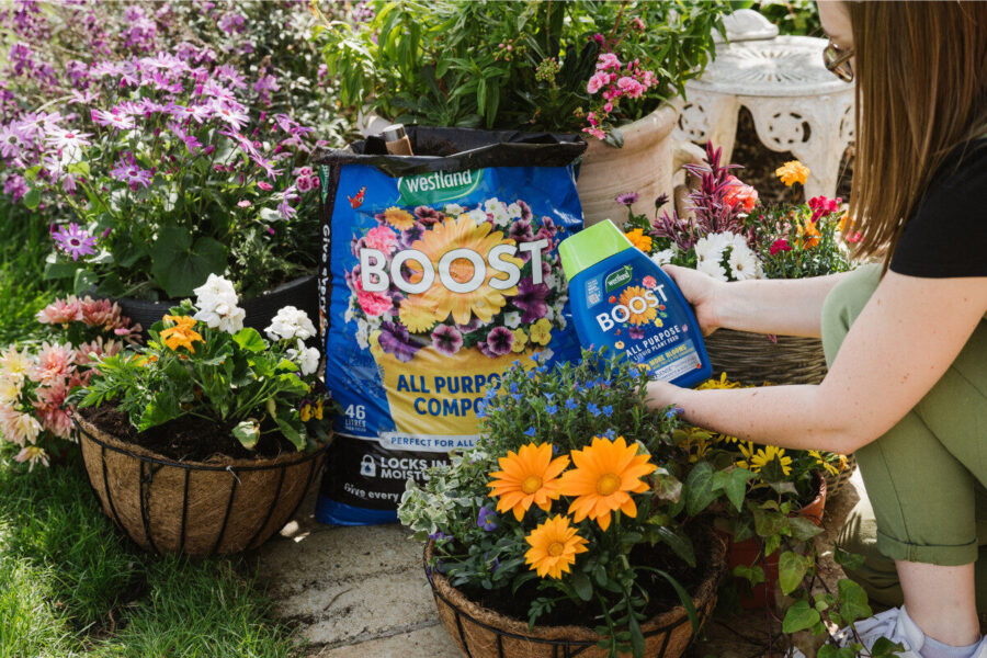 Win a Westland Summer Gardening Bundle Worth Over £100!