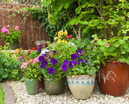 Easy, longer-lasting colour