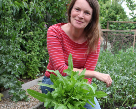 How to grow the loveliest lettuce, quicker broccoli and when to thin out fruits