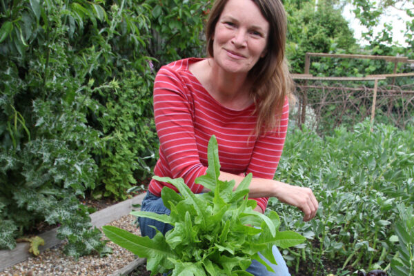 How to grow the loveliest lettuce, quicker broccoli and when to thin out fruits