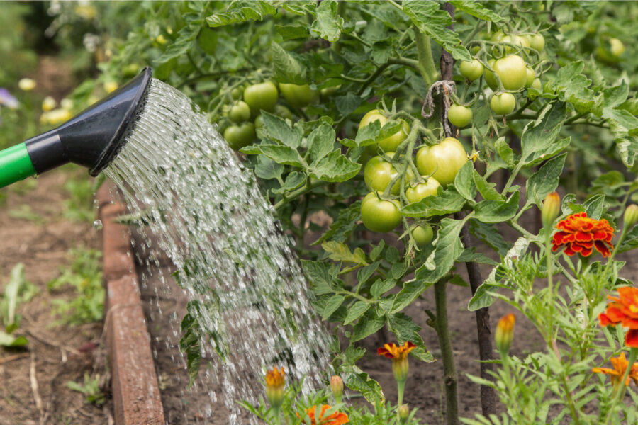 How to keep refreshed during a hosepipe ban
