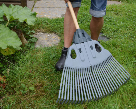 Early autumn lawn care tips