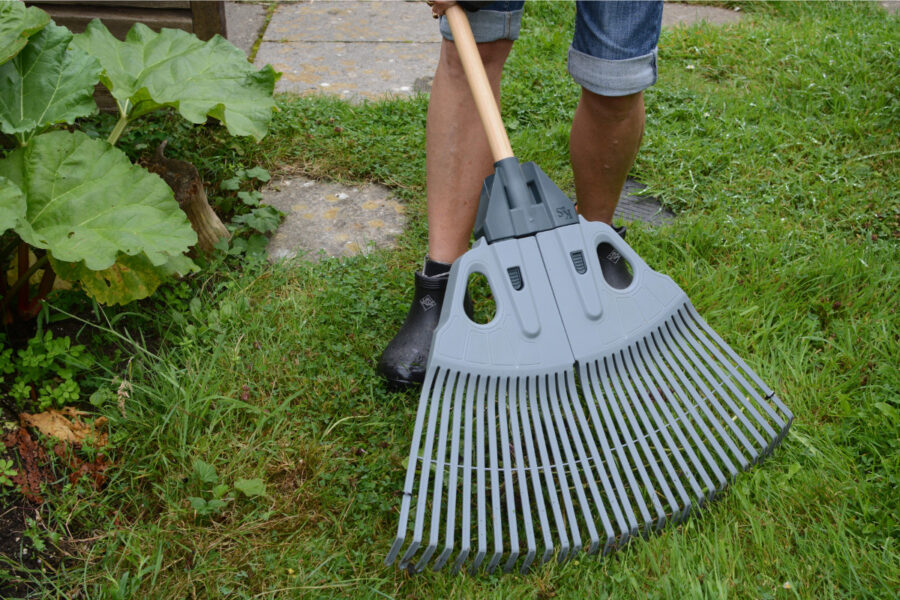 Early autumn lawn care tips