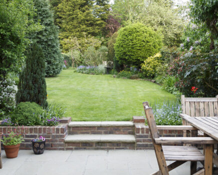 Summer lawn care tips
