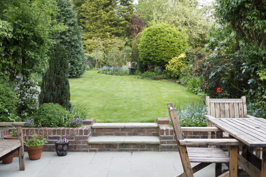 Summer lawn care tips