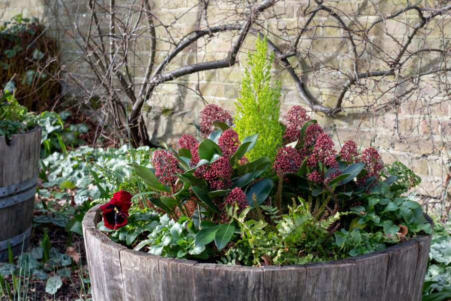 Container compost basics