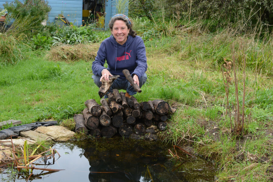 Refurbishing the garden pond