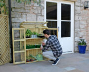 Win a Compact Botanical Greenhouse Worth Over £400!