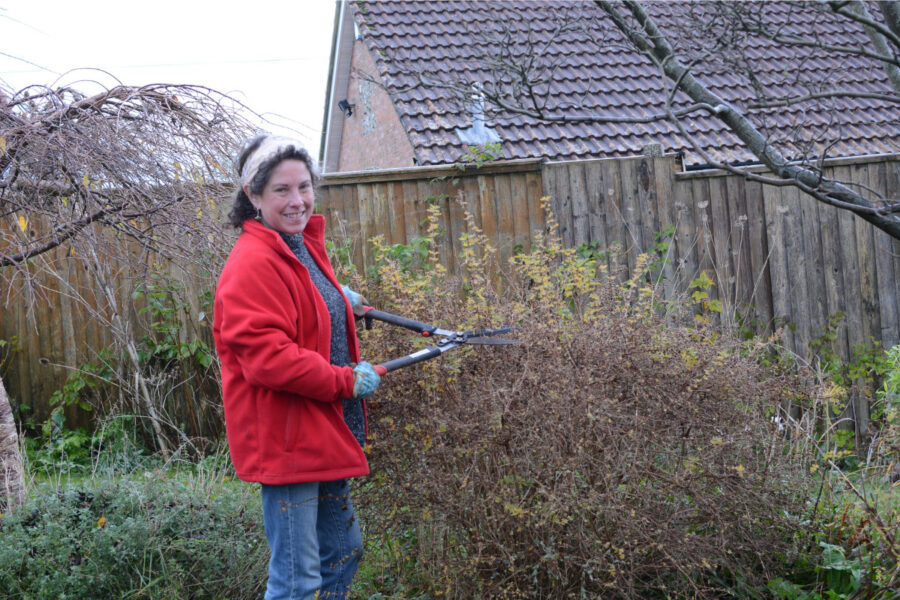 Welcome to the year-end garden