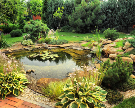 How to create a garden pond