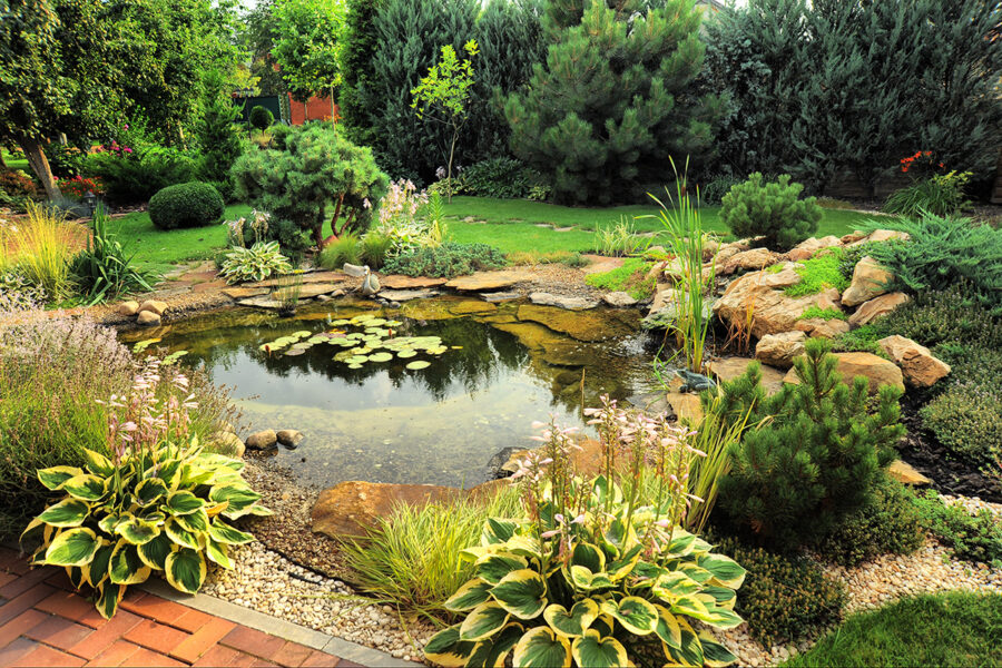 How to create a garden pond