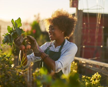 8 top tips for preventing gardening injuries