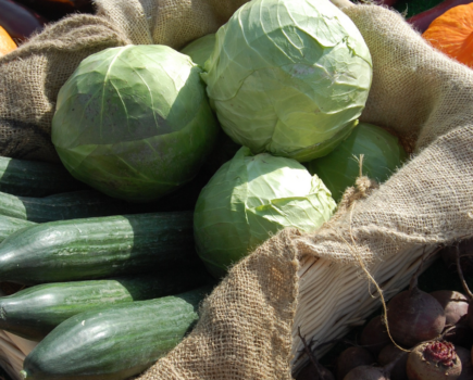 How to recycle food containers for a greener garden