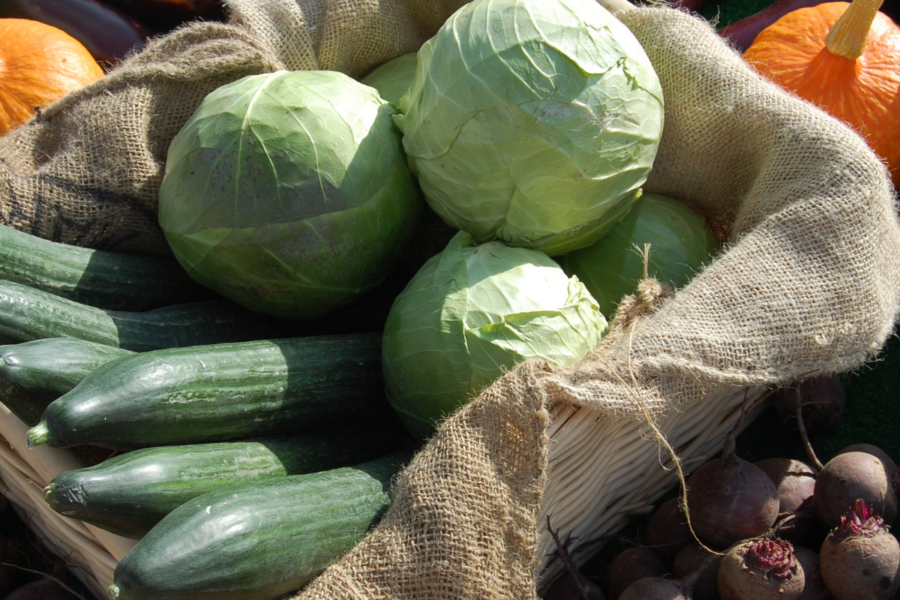 How to recycle food containers for a greener garden