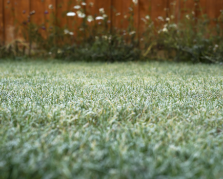 Sustainable winter lawn care