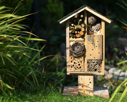 Top tips for pollinator-friendly gardening  