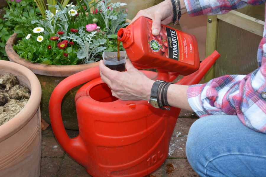 How to keep your pots flourishing