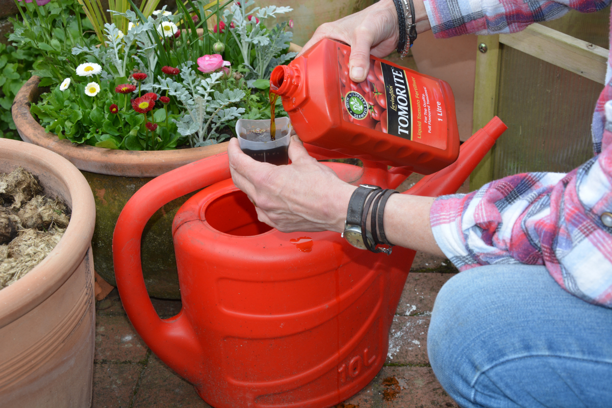 How to keep your pots flourishing - Amateur Gardening