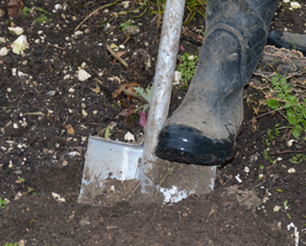 Preparing a good-quality seedbed