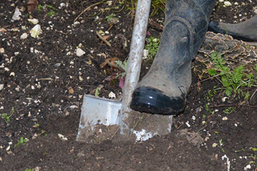 Preparing a good-quality seedbed