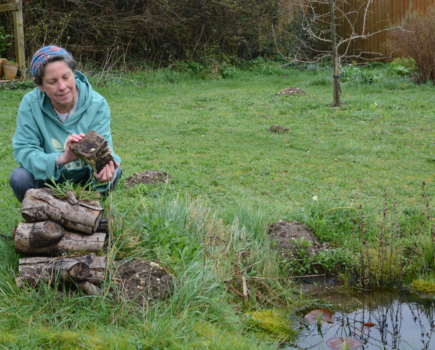 How to garden environmentally friendly