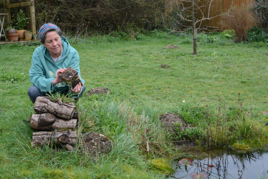 How to garden environmentally friendly