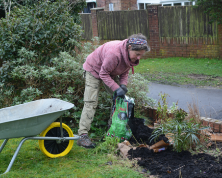 How to improve your soil with what you already have