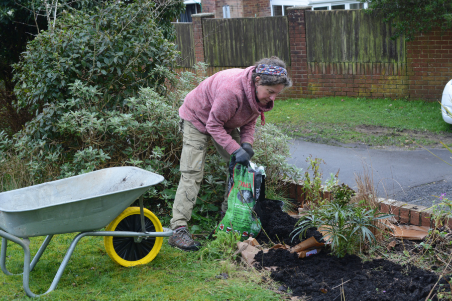 How to improve your soil with what you already have