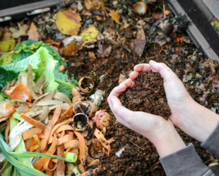 A beginner’s guide to making compost  